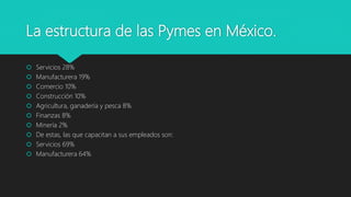 La estructura de las Pymes en México.
 Servicios 28%
 Manufacturera 19%
 Comercio 10%
 Construcción 10%
 Agricultura, ganadería y pesca 8%
 Finanzas 8%
 Minería 2%
 De estas, las que capacitan a sus empleados son:
 Servicios 69%
 Manufacturera 64%
 