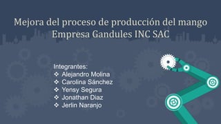 Mejora del proceso de producción del mango
Empresa Gandules INC SAC
Integrantes:
 Alejandro Molina
 Carolina Sánchez
 Yensy Segura
 Jonathan Diaz
 Jerlin Naranjo
 