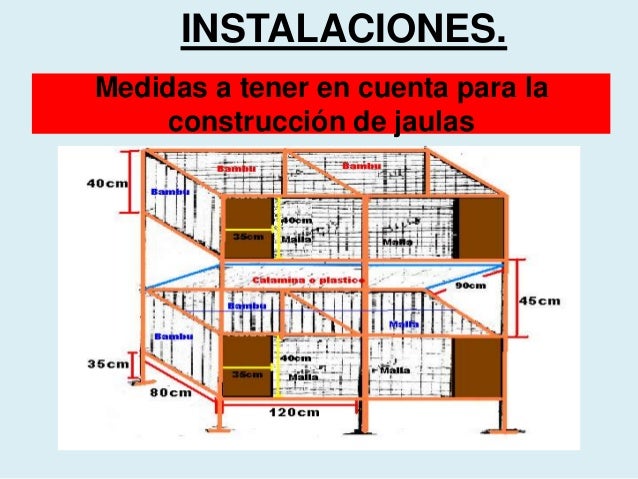 Resultado de imagen para CRIANZA DE CUYES EN JAULAS