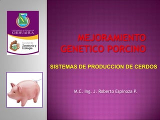 M.C. Ing. J. Roberto Espinoza P. 
SISTEMAS DE PRODUCCION DE CERDOS  