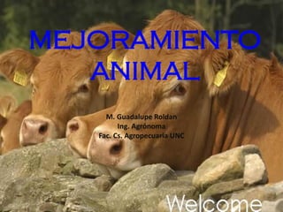 MEJORAMIENTO
ANIMAL
M. Guadalupe Roldan
Ing. Agrónoma
Fac. Cs. Agropecuaria UNC
 