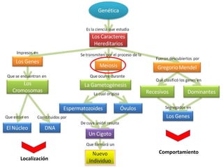 Comportamiento
Localización
 