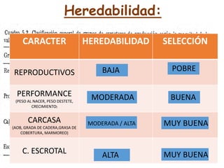 Heredabilidad:
CARACTER HEREDABILIDAD SELECCIÓN
REPRODUCTIVOS
PERFORMANCE
(PESO AL NACER, PESO DESTETE,
CRECIMIENTO)
CARCASA
(AOB, GRADA DE CADERA,GRASA DE
COBERTURA, MARMOREO)
C. ESCROTAL
BAJA POBRE
BUENA
MODERADA
MODERADA / ALTA
ALTA
MUY BUENA
MUY BUENA
 
