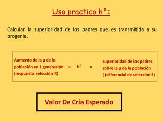 Uso practico h²:
h²
Valor De Cría Esperado
Calcular la superioridad de los padres que es transmitida a su
progenie.
superioridad de los padres
sobre la µ de la población
( (diferencial de selección S)
Aumento de la µ de la
población en 1 generación
(respuesta selección R)
x
=
 