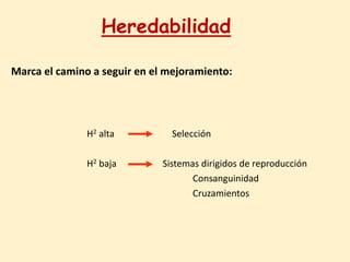 Heredabilidad
H2 alta Selección
H2 baja Sistemas dirigidos de reproducción
Consanguinidad
Cruzamientos
Marca el camino a seguir en el mejoramiento:
 