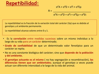 Repetibilidad:
• Es la correlación entre medidas sucesivas sobre un mismo individuo a lo
largo de su vida para un carácter determinado.
• Grado de confiabilidad de que un determinado valor fenotípico para un
carácter se repita.
• No es una constante biológica del carácter; sino que depende de la población
y del ambiente.
• El genotipo actuante es el mismo ( no hay segregación o recombinación), las
diferencias tienen que ser ambientales; aunque el genotipo a veces puede
actuar con diferente intensidad a lo largo de la vida del animal.
σ²A + σ²D + σ²I + σ²Ep
R = __________________________
σ²A + σ²D + σ²I + σ²Ep + σ²Et
La repetibilidad es la fracción de la variación total del carácter (Vp) que es debida al
genotipo y al ambiente permanente.
La repetibilidad alcanza valores entre 0 y 1.
 