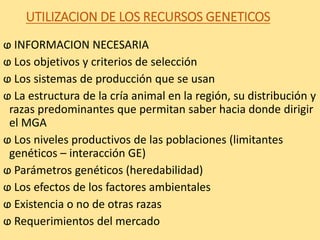 UTILIZACION DE LOS RECURSOS GENETICOS
ⱷ INFORMACION NECESARIA
ⱷ Los objetivos y criterios de selección
ⱷ Los sistemas de producción que se usan
ⱷ La estructura de la cría animal en la región, su distribución y
razas predominantes que permitan saber hacia donde dirigir
el MGA
ⱷ Los niveles productivos de las poblaciones (limitantes
genéticos – interacción GE)
ⱷ Parámetros genéticos (heredabilidad)
ⱷ Los efectos de los factores ambientales
ⱷ Existencia o no de otras razas
ⱷ Requerimientos del mercado
 