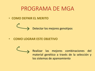 PROGRAMA DE MGA
Realizar las mejores combinaciones del
material genético a través de la selección y
los sistemas de apareamiento
Detectar los mejores genotipos
• COMO LOGRAR ESTE OBJETIVO
• COMO DEFNIR EL MERITO
 