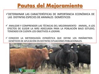 DETERMINAR LAS CARACTERÍSTICAS DE IMPORTANCIA ECONÓMICA DE
LAS DISTINTAS ESPECIES DE ANIMALES DOMÉSTICOS
Pautas del Mejoramiento
 ANALIZAR Y COMPRENDER LAS TÉCNICAS DEL MEJORAMIENTO ANIMAL, A LOS
EFECTOS DE ELEGIR LA MÁS ADECUADA PARA LA POBLACIÓN BAJO ESTUDIO,
TENIENDO EN CUENTA LOS OBJETIVOS A LOGRAR.
 CONOCER LA METODOLOGÍA ESTADÍSTICA QUE DEFINE LOS PARÁMETROS
GENÉTICOS DE APLICACIÓN EN DISTINTAS SITUACIONES POBLACIONALES.
 