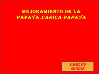 MejoraMiento de la
PaPaya, CariCa PaPaya




                Carlos
                Muñoz
 