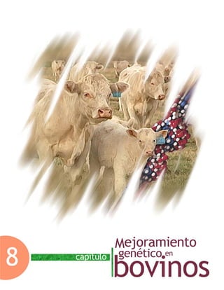 Capítulo 8. Mejoramiento genético en bovinos
Facultad de Medicina Veterinaria y Zootecnia-UNAM 267
Capítulo 8. Mejoramiento genético en bovinos
 