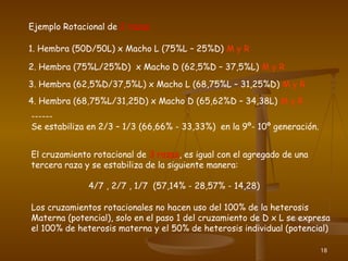 18
Ejemplo Rotacional de 2 razas
1. Hembra (50D/50L) x Macho L (75%L – 25%D) M y R
2. Hembra (75%L/25%D) x Macho D (62,5%D – 37,5%L) M y R
3. Hembra (62,5%D/37,5%L) x Macho L (68,75%L – 31,25%D) M y R
4. Hembra (68,75%L/31,25D) x Macho D (65,62%D – 34,38L) M y R
------
Se estabiliza en 2/3 – 1/3 (66,66% - 33,33%) en la 9º- 10º generación.
El cruzamiento rotacional de 3 razas, es igual con el agregado de una
tercera raza y se estabiliza de la siguiente manera:
4/7 , 2/7 , 1/7 (57,14% - 28,57% - 14,28)
Los cruzamientos rotacionales no hacen uso del 100% de la heterosis
Materna (potencial), solo en el paso 1 del cruzamiento de D x L se expresa
el 100% de heterosis materna y el 50% de heterosis individual (potencial)
 
