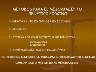 4
METODOS PARA EL MEJORAMIENTO
GENÉTICO PORCINO
1.- CREACIÓN Y UTILIZACIÓN DE RAZAS 0 LÍNEAS
2.- SELECCIÓN
3.- SISTEMAS DE APAREAMIENTO O REPRODUCCIÓN.
4.- BIOTECNOLOGÍA. INGENIERIA GENÉTICA
“EN TERMINOS GENERALES UN PROGRAMA DE MEJORAMIENTO GENÉTICO
COMBINA DOS O MAS DE ESTAS METODOLOGIAS”.
- Consanguinidad
- Cruzamientos
*
 
