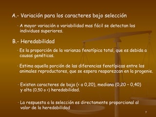 7
A.- Variación para los caracteres bajo selección
- A mayor variación o variabilidad mas fácil se detectan los
individuos superiores.
B.- Heredabilidad
- Es la proporción de la varianza fenotípica total, que es debida a
causas genéticas.
- Estima aquella porción de las diferencias fenotípicas entre los
animales reproductores, que se espera reaparezcan en la progenie.
- Existen caracteres de baja (< a 0,20), mediana (0,20 – 0,40)
y alta (0,50 o >) heredabilidad.
- La respuesta a la selección es directamente proporcional al
valor de la heredabilidad
 
