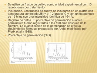    Se utilizó un frasco de cultivo como unidad experimental con 10
    repeticiones por tratamiento.
   Incubación. Los frascos de cultivo se incubaron en un cuarto con
    temperatura controlada 25 [+ ó -] 2[grados]C y con un fotoperiodo
    de 16 h luz con una intensidad lumínica de 164 fc.
   Registro de datos. El porcentaje de germinación e índice
    germinativo fueron registrados a los 100 días después de la
    siembra. La cuantificación de la germinación se efectuó
    siguiendo las fórmulas propuestas por Arditti modificado por
    Pierik et al. (1988):
   Porcentaje de germinación (%G)
 