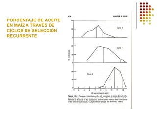 PORCENTAJE DE ACEITE 
EN MAÍZ A TRAVÉS DE 
CICLOS DE SELECCIÓN 
RECURRENTE  