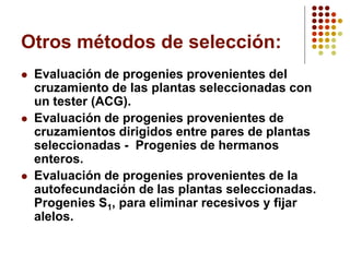 Otros métodos de selección: 
Evaluación de progenies provenientes del cruzamiento de las plantas seleccionadas con un tester (ACG). 
Evaluación de progenies provenientes de cruzamientos dirigidos entre pares de plantas seleccionadas -Progenies de hermanos enteros. 
Evaluación de progenies provenientes de la autofecundación de las plantas seleccionadas. Progenies S1, para eliminar recesivos y fijar alelos.  