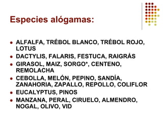 Especies alógamas: 
ALFALFA, TRÉBOL BLANCO, TRÉBOL ROJO, LOTUS 
DACTYLIS, FALARIS, FESTUCA, RAIGRÁS 
GIRASOL, MAIZ, SORGO*, CENTENO, REMOLACHA 
CEBOLLA, MELÓN, PEPINO, SANDÍA, ZANAHORIA, ZAPALLO, REPOLLO, COLIFLOR 
EUCALYPTUS, PINOS 
MANZANA, PERAL, CIRUELO, ALMENDRO, NOGAL, OLIVO, VID  