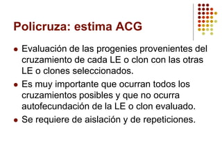 Policruza: estima ACG 
Evaluación de las progenies provenientes del cruzamiento de cada LE o clon con las otras LE o clones seleccionados. 
Es muy importante que ocurran todos los cruzamientos posibles y que no ocurra autofecundación de la LE o clon evaluado. 
Se requiere de aislación y de repeticiones.  