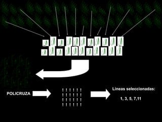 POLICRUZA 
Líneas seleccionadas: 
1, 3, 5, 7,11 
! ! ! ! ! ! 
! ! ! ! ! ! 
! ! ! ! ! ! 
! ! ! ! ! ! 
 