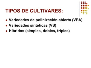 TIPOS DE CULTIVARES: 
Variedades de polinización abierta (VPA) 
Variedades sintéticas (VS) 
Híbridos (simples, dobles, triples)  
