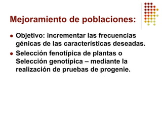 Mejoramiento de poblaciones: 
Objetivo: incrementar las frecuencias génicas de las características deseadas. 
Selección fenotípica de plantas o Selección genotípica –mediante la realización de pruebas de progenie.  