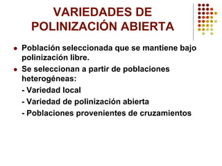 VARIEDADES DE POLINIZACIÓN ABIERTA 
Población seleccionada que se mantiene bajo polinización libre. 
Se seleccionan a partir de poblaciones heterogéneas: 
-Variedad local 
-Variedad de polinización abierta 
-Poblaciones provenientes de cruzamientos  