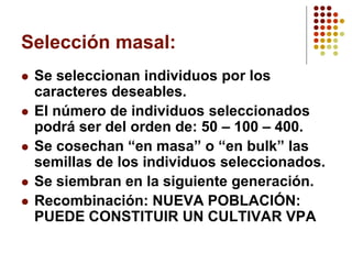 Selección masal: 
Se seleccionan individuos por los caracteres deseables. 
El número de individuos seleccionados podrá ser del orden de: 50 –100 –400. 
Se cosechan “en masa” o “en bulk” las semillas de los individuos seleccionados. 
Se siembran en la siguiente generación. 
Recombinación: NUEVA POBLACIÓN: PUEDE CONSTITUIR UN CULTIVAR VPA  
