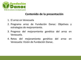 Mejoramiento genetico de arroz en Venezuela programa arroz de fundacion Danac
