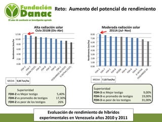 Mejoramiento genetico de arroz en Venezuela programa arroz de fundacion Danac