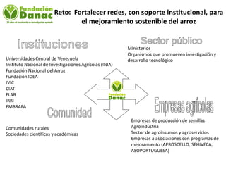 Mejoramiento genetico de arroz en Venezuela programa arroz de fundacion Danac