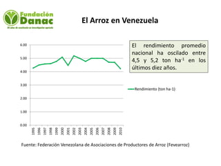 Mejoramiento genetico de arroz en Venezuela programa arroz de fundacion Danac