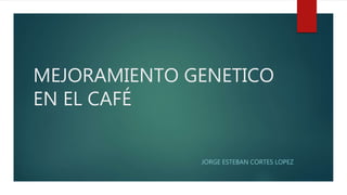 MEJORAMIENTO GENETICO
EN EL CAFÉ
JORGE ESTEBAN CORTES LOPEZ
 