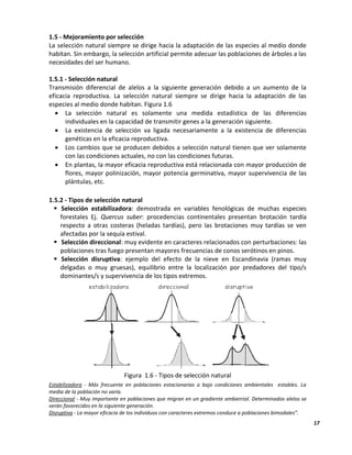 17
1.5 - Mejoramiento por selección
La selección natural siempre se dirige hacia la adaptación de las especies al medio donde
habitan. Sin embargo, la selección artificial permite adecuar las poblaciones de árboles a las
necesidades del ser humano.
1.5.1 - Selección natural
Transmisión diferencial de alelos a la siguiente generación debido a un aumento de la
eficacia reproductiva. La selección natural siempre se dirige hacia la adaptación de las
especies al medio donde habitan. Figura 1.6
 La selección natural es solamente una medida estadística de las diferencias
individuales en la capacidad de transmitir genes a la generación siguiente.
 La existencia de selección va ligada necesariamente a la existencia de diferencias
genéticas en la eficacia reproductiva.
 Los cambios que se producen debidos a selección natural tienen que ver solamente
con las condiciones actuales, no con las condiciones futuras.
 En plantas, la mayor eficacia reproductiva está relacionada con mayor producción de
flores, mayor polinización, mayor potencia germinativa, mayor supervivencia de las
plántulas, etc.
1.5.2 - Tipos de selección natural
 Selección estabilizadora: demostrada en variables fenológicas de muchas especies
forestales Ej. Quercus suber: procedencias continentales presentan brotación tardía
respecto a otras costeras (heladas tardías), pero las brotaciones muy tardías se ven
afectadas por la sequía estival.
 Selección direccional: muy evidente en caracteres relacionados con perturbaciones: las
poblaciones tras fuego presentan mayores frecuencias de conos serótinos en pinos.
 Selección disruptiva: ejemplo del efecto de la nieve en Escandinavia (ramas muy
delgadas o muy gruesas), equilibrio entre la localización por predadores del tipo/s
dominantes/s y supervivencia de los tipos extremos.
Figura 1.6 - Tipos de selección natural
Estabilizadora - Más frecuente en poblaciones estacionarias o bajo condiciones ambientales estables. La
media de la población no varía.
Direccional - Muy importante en poblaciones que migran en un gradiente ambiental. Determinados alelos se
verán favorecidos en la siguiente generación.
Disruptiva - La mayor eficacia de los individuos con caracteres extremos conduce a poblaciones bimodales”.
 