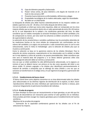 20
5. Copa de diámetro pequeño y balanceada
6. Poseer ramas cortas, de poco diámetro y de ángulo de inserción en el
fuste lo más cercano a 90º
7. Presentar buena tolerancia a enfermedades, deficiencias y plagas
8. Propiedades tecnológicas de la madera adecuadas, según las necesidades
9. No debe ser un árbol borde
La búsqueda de árboles plus debe hacerse sistemáticamente en los mejores rodales con
edades superiores a los 18 – 20 años o 3 ó 4 años después del último raleo.
Una vez localizado un árbol que reúna estos requisitos, debe ser comparado con los cinco
mejores árboles que se encuentren dentro de un radio aproximado de entre 20 y 50 metros
de él, lo cual dependerá de la calidad y las condiciones generales del área. Se debe
considerar que en rodales manejados la variación fenotípica entre el árbol candidato y los
de comparación es menor, por esta razón los esfuerzos se deben concentrar en el criterio
de superioridad en volumen.
La valoración de las características o variables cualitativas mas los promedios obtenidos de
las mediciones hechas en los cinco árboles de comparación son confrontadas con los
valores del candidato y se asigna una puntuación a cada característica para la cual se esta
seleccionando, como lo indica la metodología para la selección de árboles plus que se
muestra a continuación.
Como la selección se basa en la apariencia externa de los árboles (fenotipo). Para la
selección de ciertos caracteres, especialmente en los relacionados con la calidad, se debe
ser lo más objetivo y crítico de acuerdo a las pautas preestablecidas. Debe recordarse que
este será el material base del programa y si se desea obtener ganancias útiles esta
metodología de selección debe ser estricta y consecuente.
Una vez que un árbol candidato ha sido definitivamente seleccionado, se le asignara un
número el que se deberá marcar con pintura en las dos caras opuestas del árbol a una
altura visible. El número asignado a los árboles plus identificará permanentemente el
material de semillas o estaquillas que se obtenga de estos árboles y una vez que se
sancione se transformará en el código único, el cual registrará el programa y generación del
material.
1.7.1.2 - Establecimiento del banco clonal
El banco clonal tiene como objetivo concentrar en un área determinada todos los árboles
plus seleccionados en las distintas regiones de distribución de la especie, es decir, hacer
reproducciones idénticas de estos individuos por operaciones de injertos o estacas, para
conservar íntegramente el patrimonio hereditario del individuo.
1.7.1.3 - Prueba de progenie
Un buen fenotipo no tiene que ser necesariamente un buen genotipo, es por ello que los
estudios de descendencia son necesarios para estimar el valor genético de un individuo.
Estas pruebas permiten escoger los mejores genotipos para el establecimiento de huertos
semilleros.
Objetivos de las pruebas de progenie
- Estimación de la capacidad combinatoria general de los árboles con el fin de
seleccionar los mejores.
 