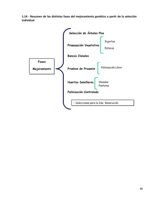 33
1.14 - Resumen de las distintas fases del mejoramiento genético a partir de la selección
individual
Fases
Mejoramiento
Individual
Selección de Árboles Plus
Propagación Vegetativa
Injertos
Estacas
C. de TejidosBancos Clonales
Pruebas de Progenie Polinización Libre
Huertos Semilleros Clonales
Posturas
Polinización Controlada.
• Selecciones para la 2da Generación.
 
