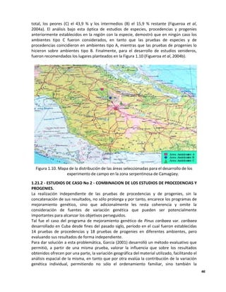 46
total, los peores (C) el 43,9 % y los intermedios (B) el 15,9 % restante (Figueroa et al,
2004a). El análisis bajo esta óptica de estudios de especies, procedencias y progenies
anteriormente establecidos en la región con la especie, demostró que en ningún caso los
ambientes tipo C fueron considerados, en tanto que las pruebas de especies y de
procedencias coincidieron en ambientes tipo A, mientras que las pruebas de progenies lo
hicieron sobre ambientes tipo B. Finalmente, para el desarrollo de estudios venideros,
fueron recomendados los lugares planteados en la Figura 1.10 (Figueroa et al, 2004b).
Figura 1.10. Mapa de la distribución de las áreas seleccionadas para el desarrollo de los
experimento de campo en la zona serpentinosa de Camagüey.
1.21.2 - ESTUDIOS DE CASO No 2 - COMBINACION DE LOS ESTUDIOS DE PROCEDENCIAS Y
PROGENIES.
La realización independiente de las pruebas de procedencias y de progenies, sin la
concatenación de sus resultados, no sólo prolonga y por tanto, encarece los programas de
mejoramiento genético, sino que adicionalmente les resta coherencia y omite la
consideración de fuentes de variación genética que pueden ser potencialmente
importantes para alcanzar los objetivos perseguidos.
Tal fue el caso del programa de mejoramiento genético de Pinus caribaea var. caribaea
desarrollado en Cuba desde fines del pasado siglo, período en el cual fueron establecidas
14 pruebas de procedencias y 18 pruebas de progenies en diferentes ambientes, pero
evaluando sus resultados de forma independiente.
Para dar solución a esta problemática, García (2001) desarrolló un método evaluativo que
permitió, a partir de una misma prueba, valorar la influencia que sobre los resultados
obtenidos ofrecen por una parte, la variación geográfica del material utilizado, facilitando el
análisis espacial de la misma, en tanto que por otra evalúa la contribución de la variación
genética individual, permitiendo no sólo el ordenamiento familiar, sino también la
 