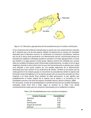 48
Figura 1.13. Ubicación y agrupaciones de las procedencias para el carácter ramificación.
En las condiciones del ambiente evaluado (que se ajusta más a los requerimientos naturales
de P. tropicalis que a los de esta especie, debido a la pobreza de sus suelos), los resultados
obtenidos para el diámetro normal y la ramificación se mostraron coincidentes, mientras
que los de la altura total presentaron una diferenciación parcial, caracterizada porque las
procedencias Cajálbana y Marbajita quedaron incluidas en el mejor agrupamiento, en tanto
que Galalón y La Jagua pasaron al peor grupo. Algunos autores han señalado que, aunque
todas las variables fenotípicas están influenciadas ambientalmente, no todas lo son en igual
magnitud, estando la altura total entre las que más frecuentemente se plantea que resulta
muy afectada y esta quizás pudiera ser una posible explicación de la diferenciación
observada para este carácter en las condiciones de Viñales. También es de señalar que de
modo general en los mejores grupos se encuentran las procedencias donde la especie está
formando masas homogéneas y en los peores grupos esta se encuentra asociada con Pinus
tropicalis o en áreas donde Pinus caribaea no debe permanecer, lo que significa que
probablemente el núcleo original de la especie sea el idóneo y se encuentra en las
localidades comunes a los sitios de mejores resultados (García, Decoro y Álvarez, 2004).
Por otra parte, el valor de la heredabilidad en sentido estricto para las variables fenotípicas
analizadas osciló entre 0,72 y 0,82, según se muestra en la Tabla 1.10, siendo
consistentemente mayor para los caracteres relacionados con la calidad de la madera.
Tabla 1.10. Heredabilidad para cinco caracteres fenotípicos.
Carácter Evaluado Heredabilidad
Diámetro 0.72
Altura 0.73
Ramificación 0.80
Angulo de inserción 0.81
Rectitud 0.82
 