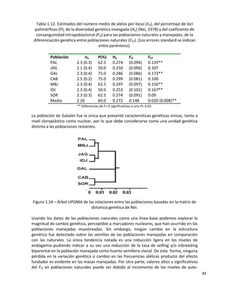 51
Tabla 1.12. Estimados del número medio de alelos por locus (na), del porcentaje de loci
polimórficos (P), de la diversidad genética insesgada (He) (Nei, 1978) y del coeficiente de
consanguinidad intrapoblacional (FIS) para las poblaciones naturales y manejadas; de la
diferenciación genética entre poblaciones naturales (FST). (Los errores standard se indican
entre paréntesis).
Población na P(%) He FIS FST
PAL 2.3 (0.3) 62.5 0.274 (0.094) 0.139**
JAG 2.1 (0.4) 50.0 0.250 (0.096) 0.107
GAL 2.3 (0.4) 75.0 0.286 (0.086) 0.173**
CAB 2.5 (0.2) 75.0 0.299 (0.081) 0.100
MBJ 2.3 (0.4) 62.5 0.297 (0.097) 0.156**
IDJ 2.3 (0.4) 50.0 0.253 (0.101) 0.167**
SOR 2.3 (0.3) 62.5 0.274 (0.091) 0.09
Media 2.26 60.0 0.272 0.148 0.020 (0.008)**
** Diferencias de F= 0 significativas a una P< 0.01.
La población de Galalón fue la única que presentó características genéticas únicas, tanto a
nivel cloroplástico como nuclear, por lo que debe considerarse como una unidad genética
distinta a las poblaciones restantes.
Figura 1.14 – Árbol UPGMA de las relaciones entre las poblaciones basadas en la matriz de
distancia genética de Nei.
Usando los datos de las poblaciones naturales como una línea-base podemos explorar la
magnitud de cambio genético, perceptible a marcadores nucleares, que han ocurrido en las
poblaciones manejadas muestreadas. Sin embargo, ningún cambio en la estructura
genética fue detectado sobre las semillas de las poblaciones manejadas en comparación
con las naturales. La única tendencia notada es una reducción ligera en los niveles de
endogamia pudiendo indicar a su vez una reducción de la tasa de selfing y/o inbreeding
biparental en la población manejada como huerto semillero clonal. De esta forma, ninguna
pérdida en la variación genética o cambio en las frecuencias alélicas producto del efecto
fundador es evidente en las masas manejadas. Por otra parte, valores altos y significativos
del FIS en poblaciones naturales puede ser debido al incremento de los niveles de auto-
 