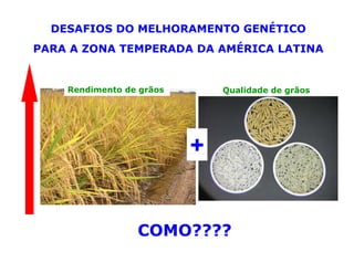 Mejoramiento genetico zona_templada_lac