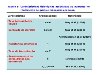 Mejoramiento genetico zona_templada_lac
