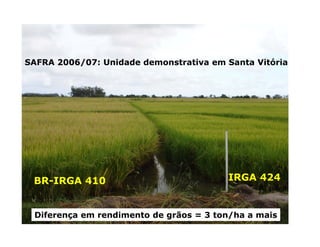 Mejoramiento genetico zona_templada_lac