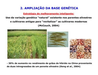 Mejoramiento genetico zona_templada_lac