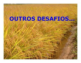 Mejoramiento genetico zona_templada_lac