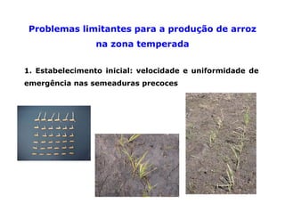 Mejoramiento genetico zona_templada_lac