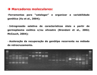 Mejoramiento genetico zona_templada_lac