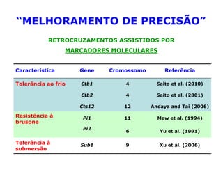 Mejoramiento genetico zona_templada_lac