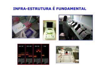 Mejoramiento genetico zona_templada_lac