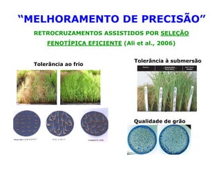 Mejoramiento genetico zona_templada_lac