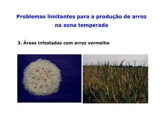 Mejoramiento genetico zona_templada_lac